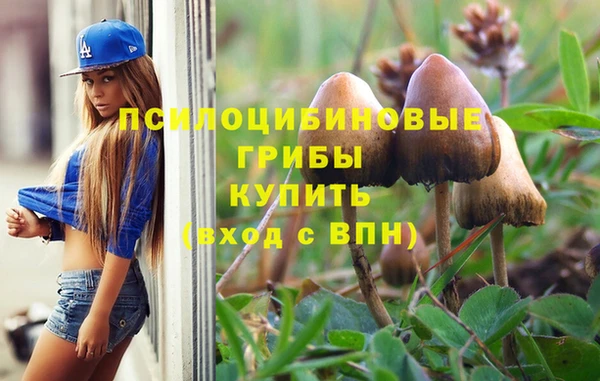 соль курить ск Заволжье