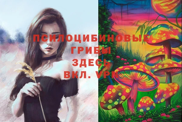 MESCALINE Заводоуковск