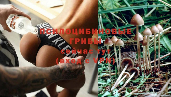 не бодяженный Зерноград